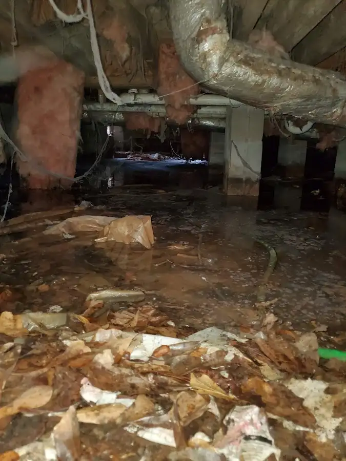 Crawl space flood assessment for Leak Detection & Repair in Fairfield Glade